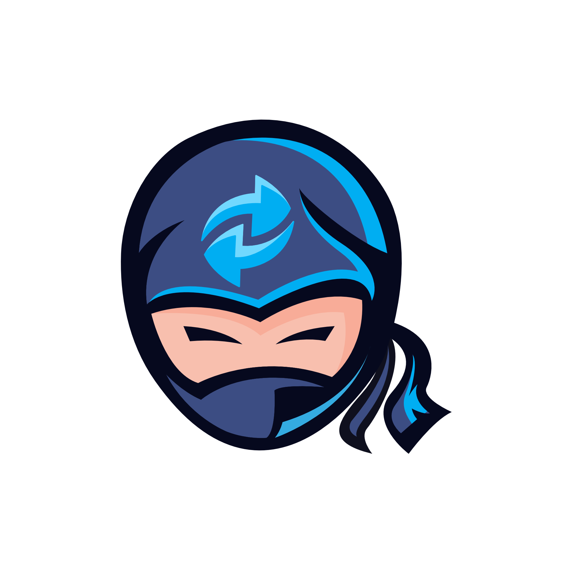 Ninja-IX